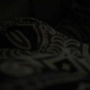 Meet your Posher, Shay